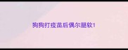 狗狗打疫苗后偶尔腿软