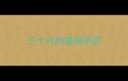 三个月的猫喝羊奶