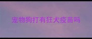 宠物狗打有狂犬疫苗吗