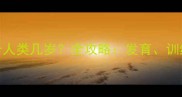 边牧犬5个月大相当于人类几岁全攻略发育训练饮食与注意事项
