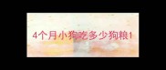 4个月小狗吃多少狗粮
