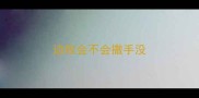 边牧会不会撒手没