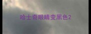 哈士奇眼睛变黑色
