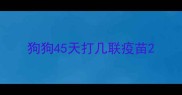 狗狗45天打几联疫苗