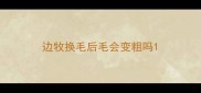边牧换毛后毛会变粗吗