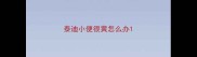 泰迪小便很黄怎么办