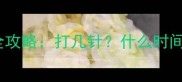 幼兔必看兔子疫苗全攻略打几针什么时间注意事项都在这