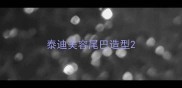 泰迪美容尾巴造型
