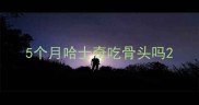 5个月哈士奇吃骨头吗