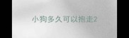 小狗多久可以抱走