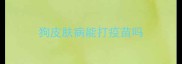 狗皮肤病能打疫苗吗