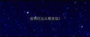 宠物托运从哪里取