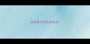 边牧鼻子旁边有斑点