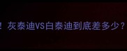 泰迪犬价格大灰泰迪VS白泰迪到底差多少附选购全攻略