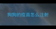 狗狗的疫苗怎么注射