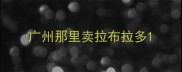 广州那里卖拉布拉多
