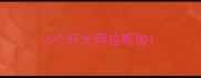 6个月大阿拉斯加