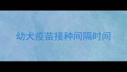 幼犬疫苗接种间隔时间