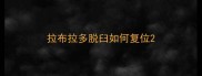 拉布拉多脱臼如何复位