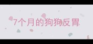 7个月的狗狗反胃