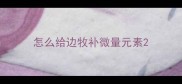 怎么给边牧补微量元素