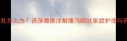 泰迪犬肠胃紊乱怎么办资深兽医详解腹泻呕吐家庭护理与药物选择指南
