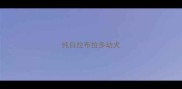 纯白拉布拉多幼犬