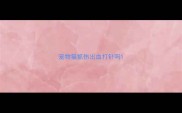 宠物猫抓伤出血打针吗