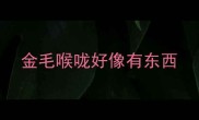 金毛喉咙好像有东西