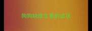 狗狗缺维生素的症状