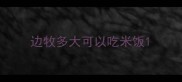 边牧多大可以吃米饭