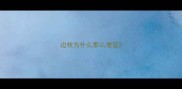 边牧为什么那么便宜