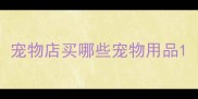 宠物店买哪些宠物用品