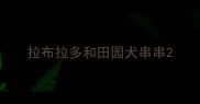 拉布拉多和田园犬串串