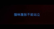 猫咪腹胀不能站立