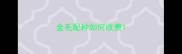 金毛配种如何收费