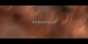 茶杯泰迪幼犬怎么养