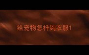 给宠物怎样钩衣服