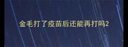 金毛打了疫苗后还能再打吗