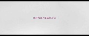 纯种巧克力泰迪多少钱
