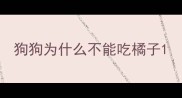 狗狗为什么不能吃橘子