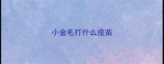 小金毛打什么疫苗