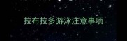 拉布拉多游泳注意事项