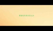 泰迪毛色变白怎么办