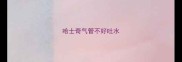哈士奇气管不好吐水