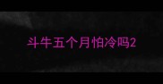 斗牛五个月怕冷吗