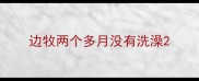 边牧两个多月没有洗澡
