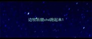 边牧后腿chd跑起来