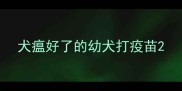 犬瘟好了的幼犬打疫苗