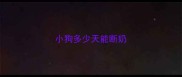 小狗多少天能断奶